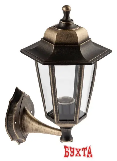 Уличный настенный светильник ЭРА Леда1 НБУ 06-60-001 (бронзовый)