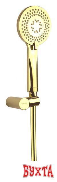 Душевой гарнитур  Deante Arnika Gold NQA Z41K