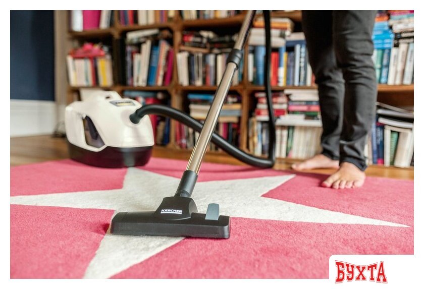 Пылесос Karcher DS 6 Plus 1.195-252.0