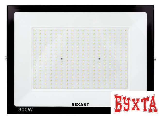 Уличный прожектор Rexant 605-030
