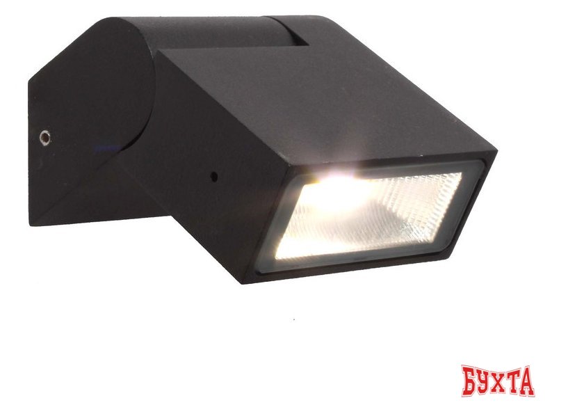 Уличный настенный светильник Favourite Visum 3024-1W