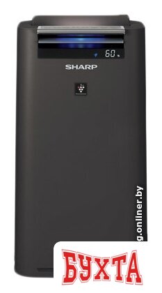 Климатический комплекс Sharp KC-G41RH