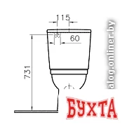 Унитаз Vitra Form 300 (9729B003-7200)