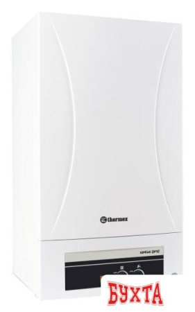 Отопительный котел Thermex Xantus (Pro) HM24