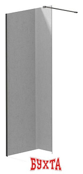 Душевая стенка Deante Prizma Walk-In KTJ_D30P