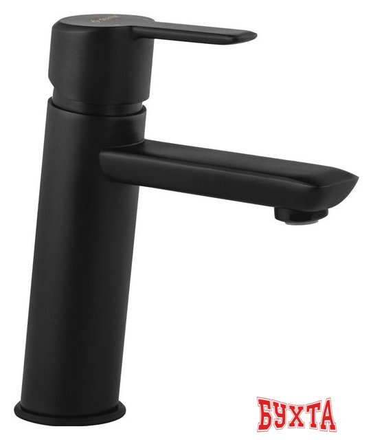 Смеситель Deante Arnika BQA N20M