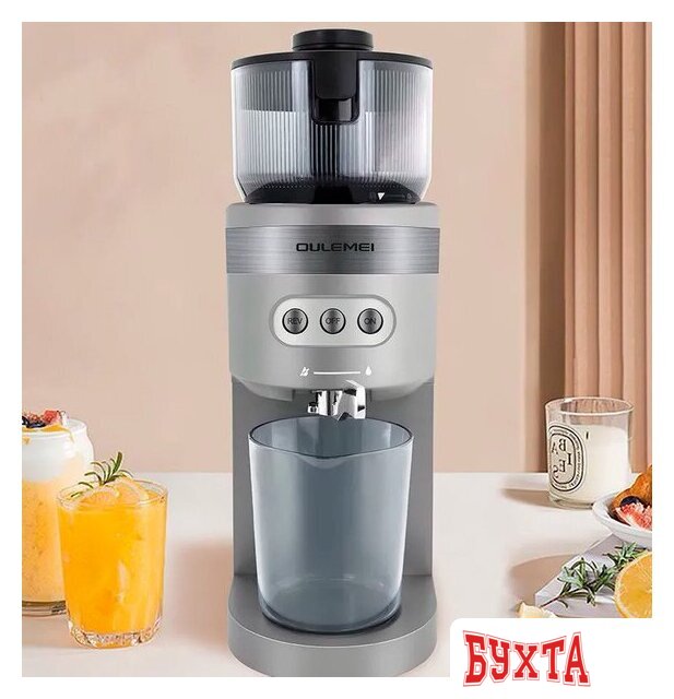 Соковыжималка Oulemei OLM-YZA006 (серый) 2