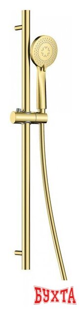 Душевой гарнитур Deante Arnika NQA R51K