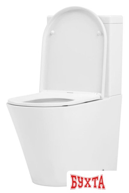 Унитаз напольный Lavinia Boho Biore Rimless 3304001R (бачок, чаша, пневмокрышка) 2