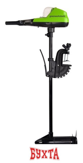 Лодочный мотор Greenworks G40TM55 (без АКБ и ЗУ) 2