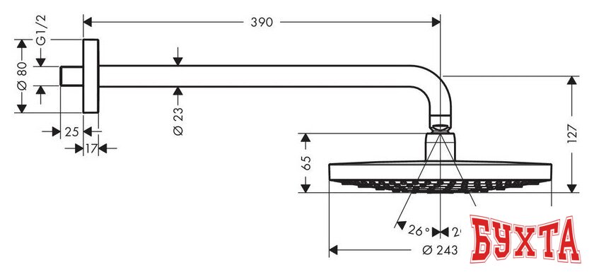 Верхний душ Hansgrohe Raindance Select S 240 2jet [26466400] 2