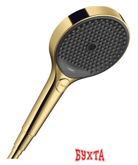 Душевая лейка Hansgrohe Rainfinity 26864990 1