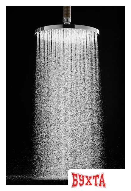 Верхний душ Hansgrohe Raindance S 27620000 4