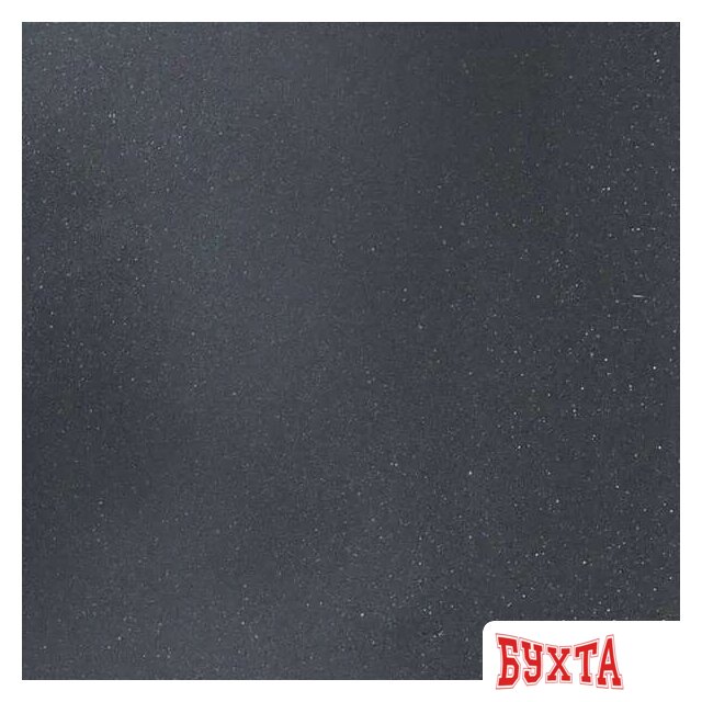 Кухонная мойка Wisent W510-25 (оникс) 5