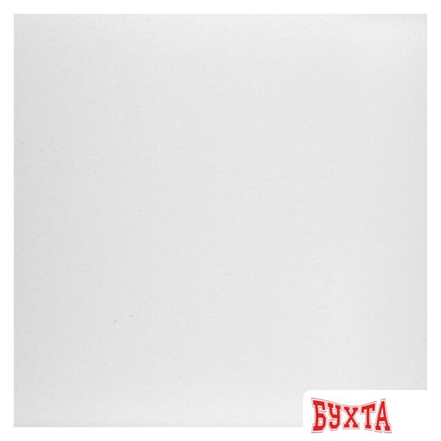 Кухонная мойка Wisent 600-28W (с сифоном GER013) 5