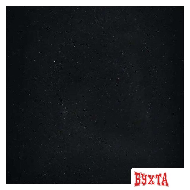 Кухонная мойка Wisent W620-25 (оникс) 5