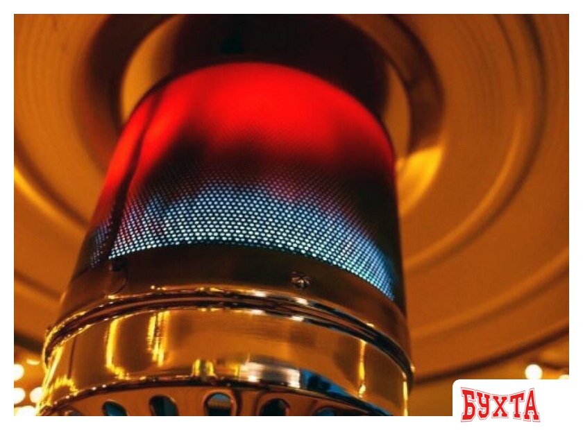 Газовый обогреватель Neoclima 09HW-B (нержавеющая сталь) 4