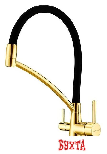 Смеситель Paulmark Siegen Si213111-G 1