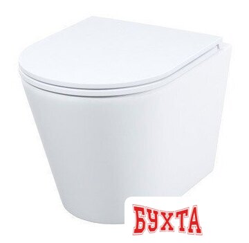 Унитаз подвесной IDDIS Calipso CALRNSEi25