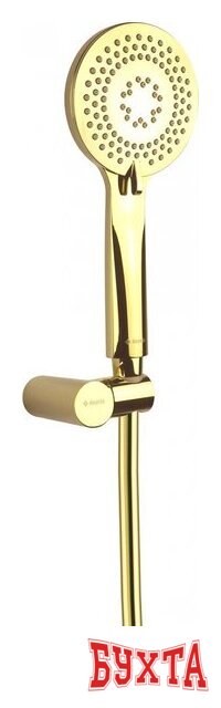 Душевой гарнитур Deante Arnika Gold NQA Z41K