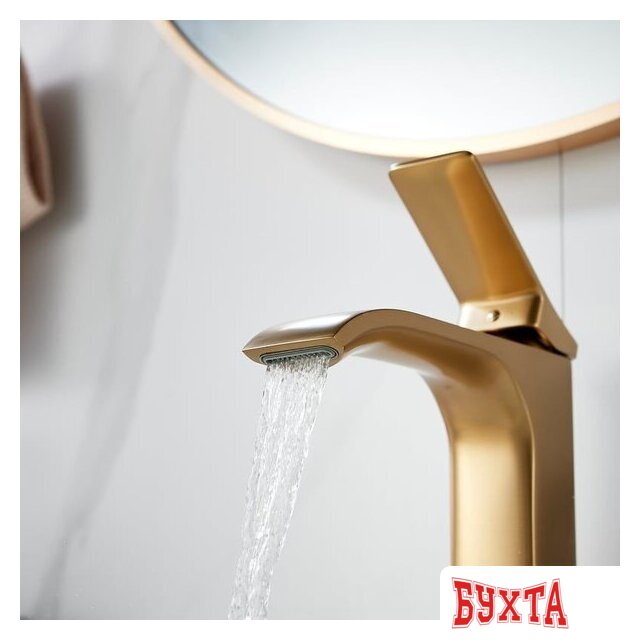 Смеситель Shevanik S4001G 4