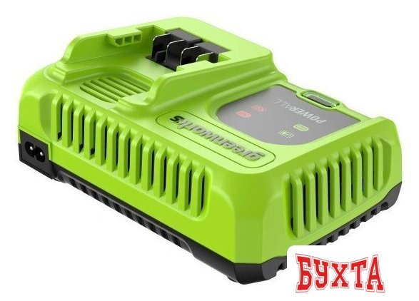 Зарядное устройство Greenworks G24C8 2958707 (24В) 4