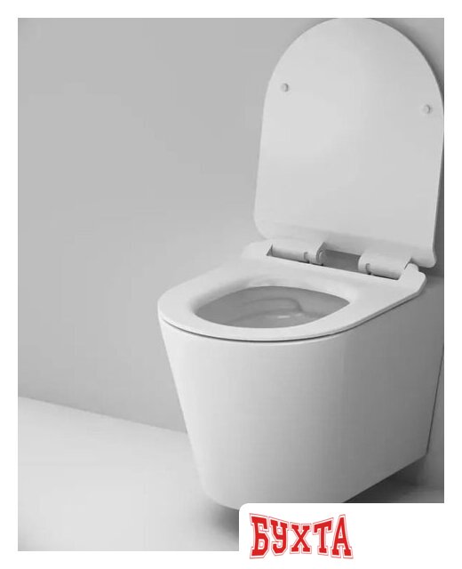 Унитаз подвесной AM.PM Sunny Flashclean C85C1701SC + TECE Profil 9300302 4