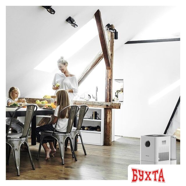 Мойка воздуха Boneco Air-O-Swiss W300 4