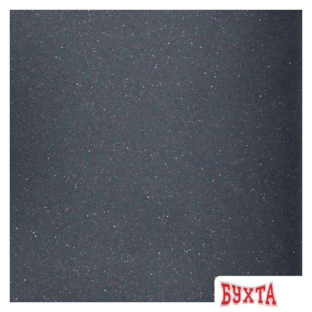 Кухонная мойка Wisent W420-25 (оникс) 5