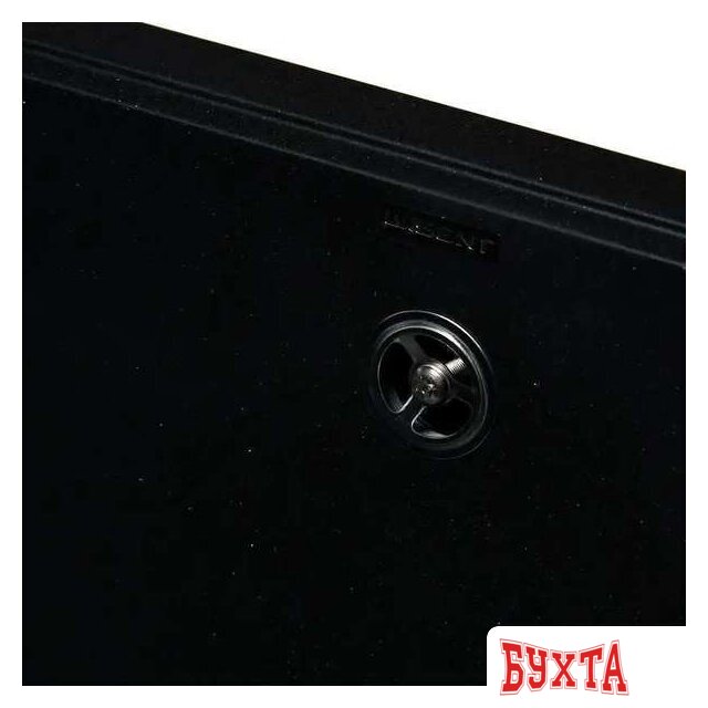 Кухонная мойка Wisent WQ580-25 (оникс) 5