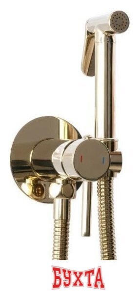 Гигиенический душ Rea Loop REA-B8979 (золотой) 2