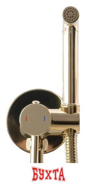 Гигиенический душ Rea Loop REA-B8979 (золотой) 3