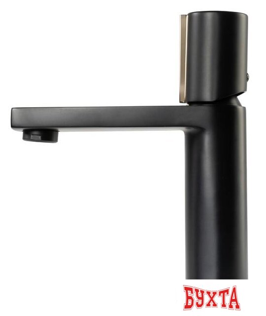 Смеситель Rea Icon REA-B5680 (черный/золотой) 2