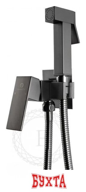 Гигиенический душ Filarete Fing FL101 (графит) 4
