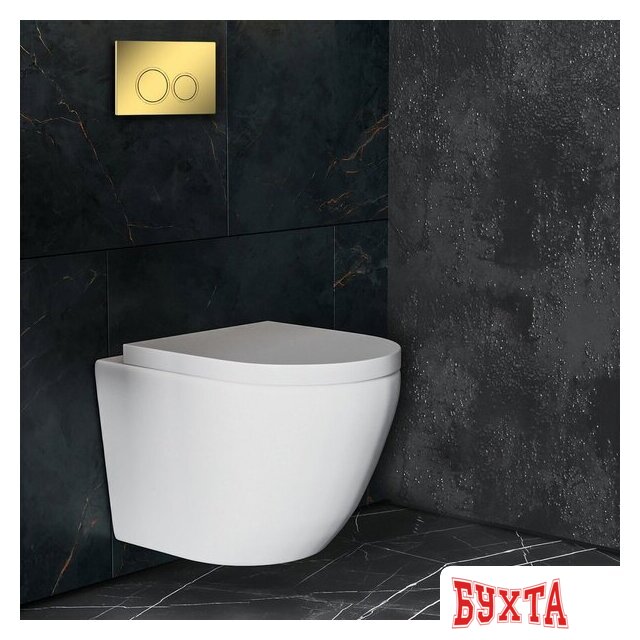 Панель смыва Roxen Santi 410260G 4