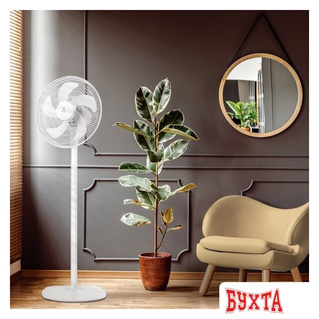 Вентилятор Electrolux EFF-1005 2