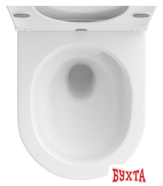 Унитаз подвесной Wellsee Chalice Perfection RimFree 182608001 (чаша, пневмокрышка, матовый белый) 3