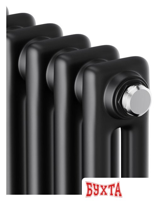 Стальной трубчатый радиатор Royal Thermo Insignia C2180 - 10 секций RAL9005m 3