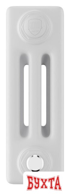 Стальной трубчатый радиатор Royal Thermo Insignia VC3030 - 14 секций RAL9016 2