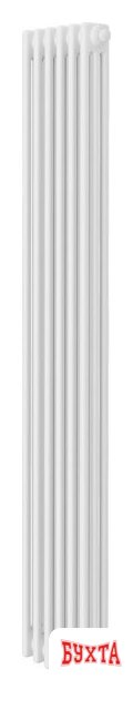 Стальной трубчатый радиатор Royal Thermo Insignia VC3180 - 06 секций RAL9016 1