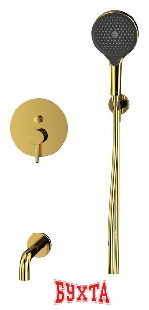 Душевой гарнитур Whitecross Y YSET06TOPGL (золото) 2