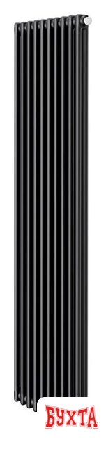 Стальной трубчатый радиатор Royal Thermo Insignia VC2180 - 10 секций RAL9005m