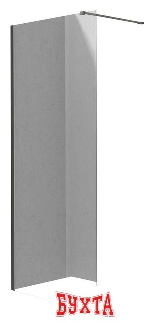 Душевая стенка Deante Prizma Walk-In KTJ_D30P