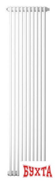 Стальной трубчатый радиатор Royal Thermo Insignia C3030 - 22 секций RAL9016 2