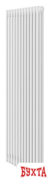 Стальной трубчатый радиатор Royal Thermo Insignia VC3180 - 12 секций RAL9016 1