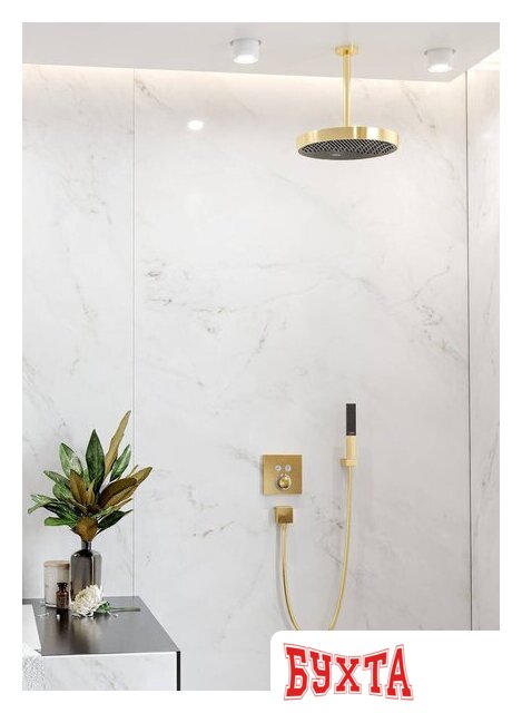 Душевая лейка Hansgrohe Rainfinity 360 26231140 2