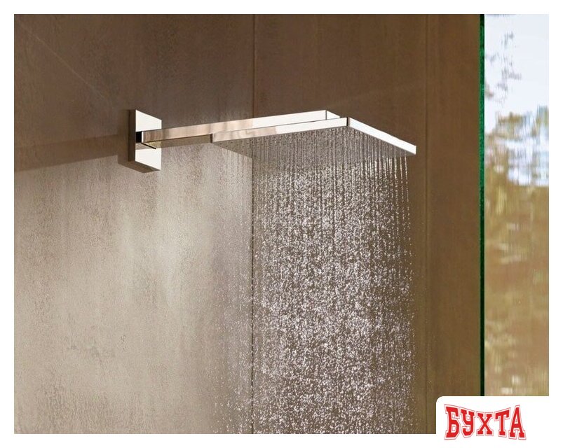 Верхний душ Hansgrohe Raindance E 300 1jet 26239000 2