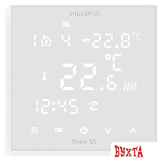 Терморегулятор Auraton Pictor DS 2