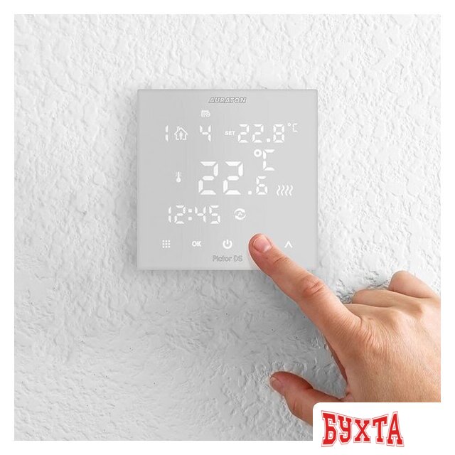 Терморегулятор Auraton Pictor DS 4