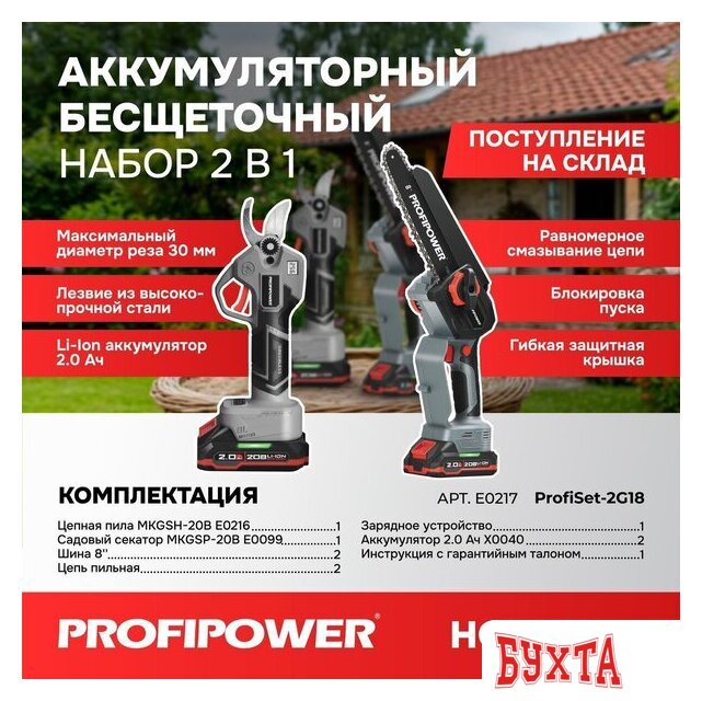 Наборы электроинструментов Profipower ProfiSet-2G20 E0217 (цепная пила, секатор, 2 АКБ)